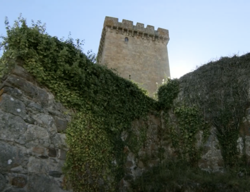 Descubrindo Lugo: Conxunto monumental de San Vicente do Pino