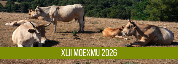 Moexmu 2026