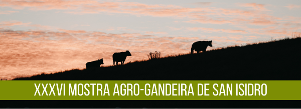 DG-Imagen Destacada Sarria