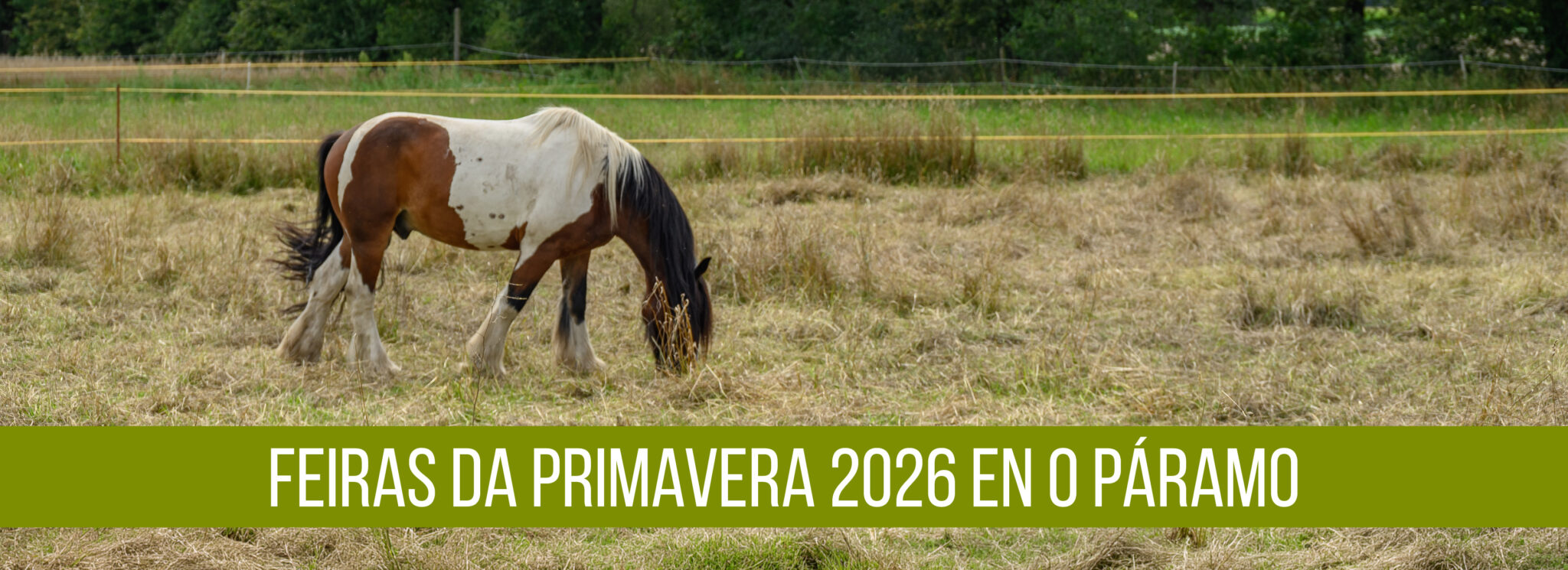 Páramo primavera-01