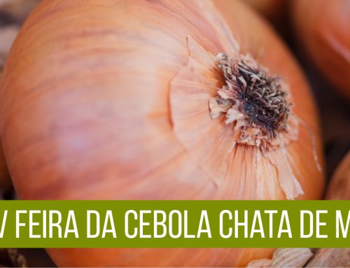 XXV Feira da Cebola Chata de Miño