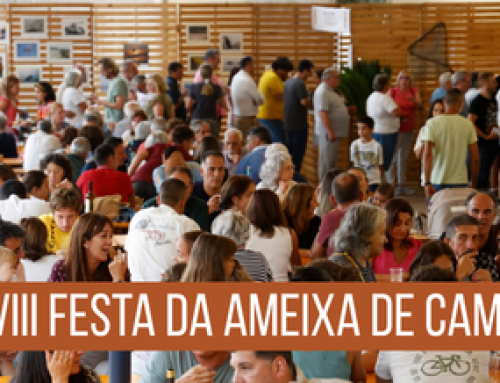 XXXVIII Festa da Ameixa de Campelo